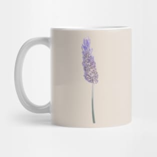 Lavender Flower Illustration Mug